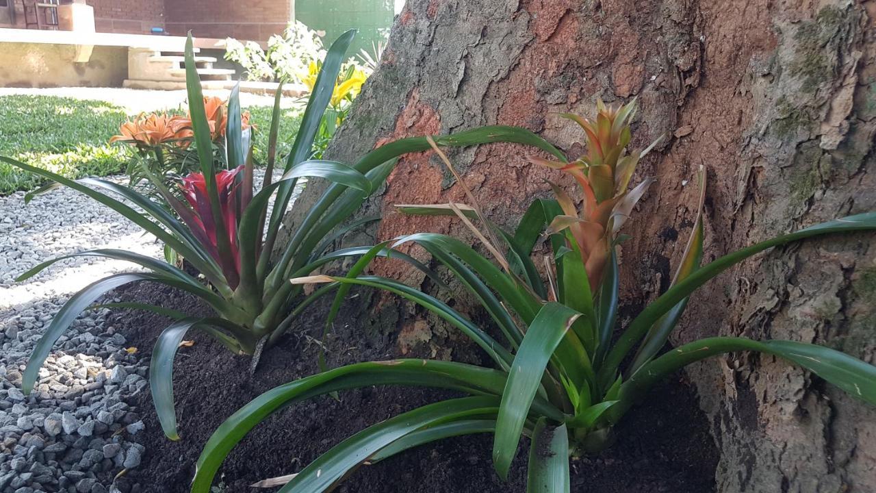 Hospedagem econômica, Suítes Flor de Maria na Martin de Sá Caraguatatuba Esterno foto